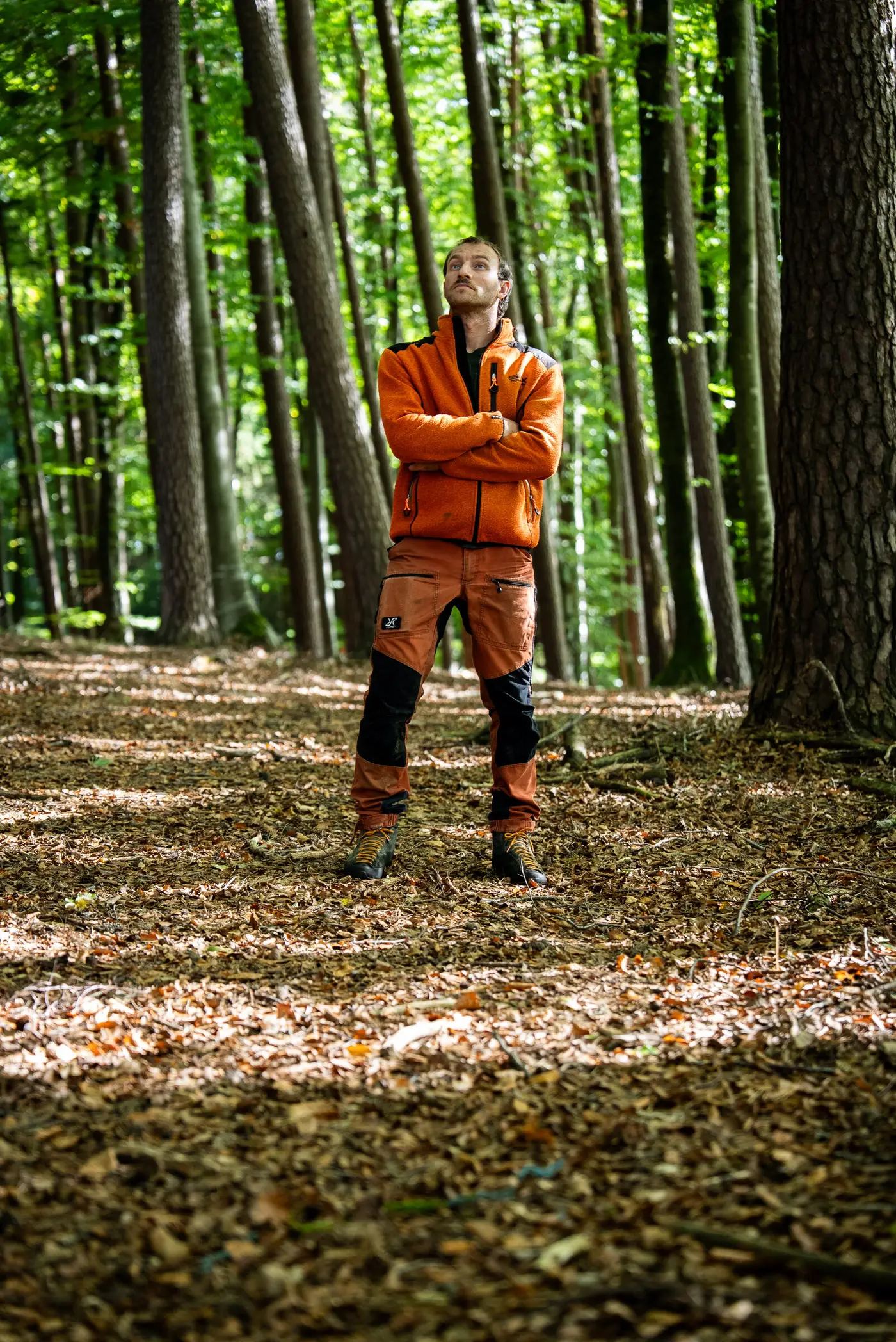 Baumpfleger in Schutzkleidung steht im herbstlichen Buchenwald